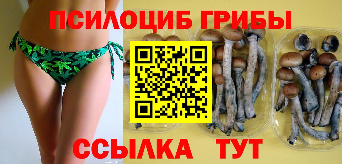 Галлюциногенные грибы Cubensis Новоалтайск